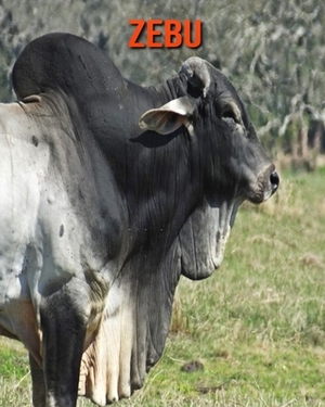 Zebu: Learn About Zebu and Enjoy Colorful Pictures by Matilda Leo