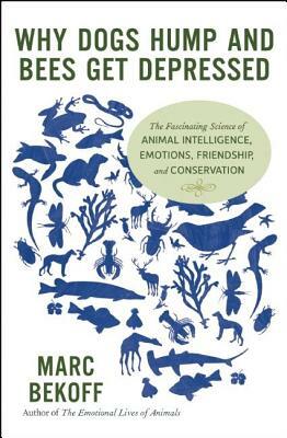 Why Dogs Hump and Bees Get Depressed: The Fascinating Science of Animal Intelligence, Emotions, Friendship, and Conservation by Marc Bekoff