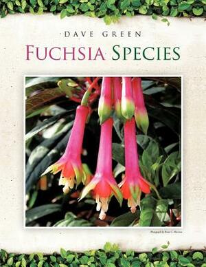 Fuchsia Species by Dave Green