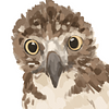 aix's profile picture