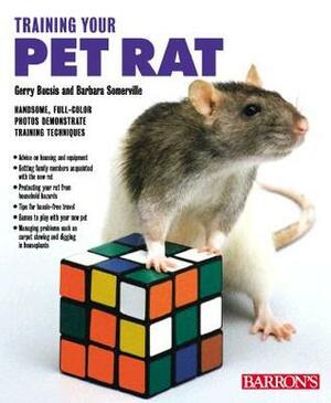 Training Your Pet Rat by Gerry Buscis