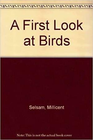 A First Look At Birds by Millicent E. Selsam, Joyce Hunt