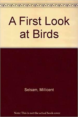 A First Look At Birds by Joyce Hunt, Millicent E. Selsam