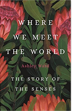 Where We Meet the World: The Story of the Senses by Ashley Ward