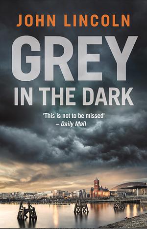 Grey in the dark by John Lincoln