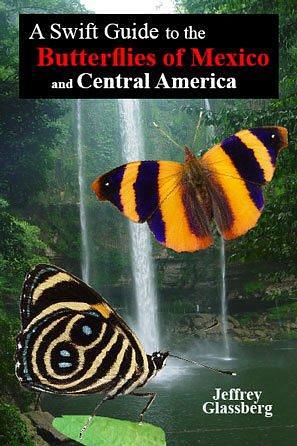 A Swift Guide to the Butterflies of Mexico and Central America by Jeffrey Glassberg