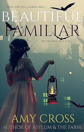 Beautiful Familiar by Amy Cross