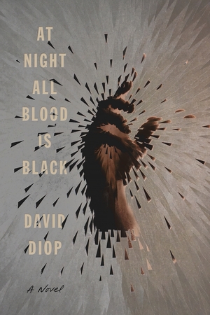 At Night All Blood is Black by David Diop