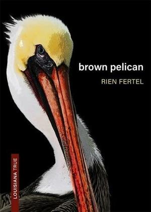 Brown Pelican by Rien Fertel