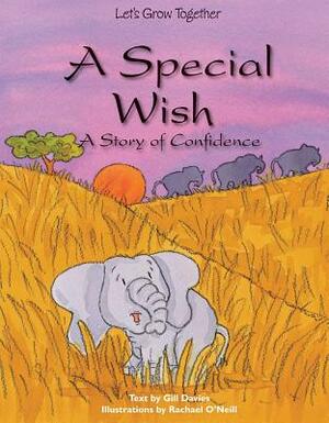 A Special Wish: A Story of Confidence by Gill Davies