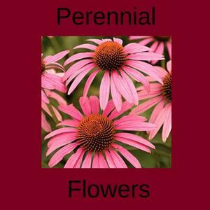 Perennial Flowers: Perennial flower types for your garden by Jim Dwyer