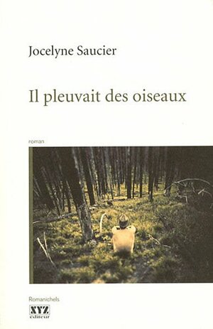 Il pleuvait des oiseaux by Jocelyne Saucier