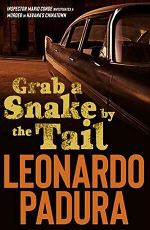 Grab a Snake by the Tail: A Murder in Havana's Chinatown by Leonardo Padura, Peter Bush