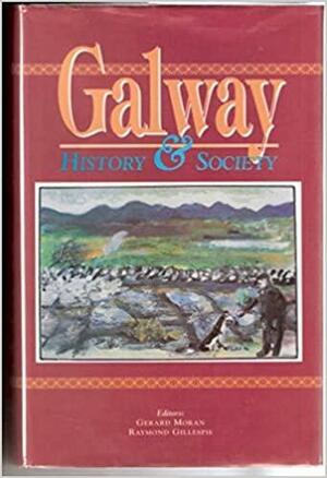 Galway: History &amp; Society by Raymond Gillespie, Gerard Moran