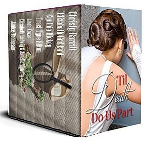 Til Death Do Us Part by Janice Thompson, Janelle Mowery, Christy Barritt, Elizabeth Ludwig, Cynthia Hickey, Traci Tyne Hilton, Linda P. Kozar, Elizabeth Goddard