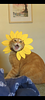 karlhavocc's profile picture