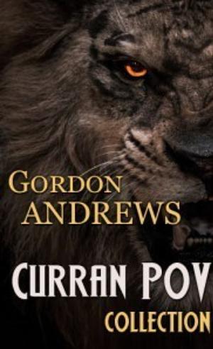 Curran's POV - Fernando's by Ilona Andrews