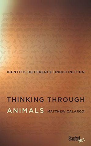 Thinking Through Animals: Identity, Difference, Indistinction by Matthew Calarco
