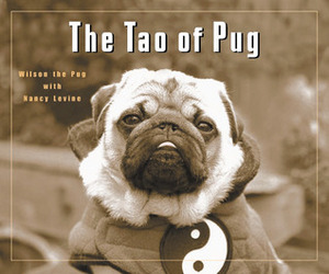 The Tao of Pug by Nancy Levine, Wilson the Pug