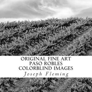 Original Fine Art Paso Robles Colorblind Images by Joseph Fleming