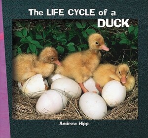 The Life Cycle of a Duck by Andrew Hipp