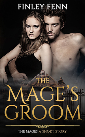 The Mage's Groom by Finley Fenn