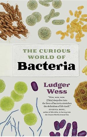 Bacteria: A Curious Collection from a Microscopic World by Ludger Wess
