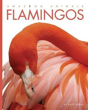 Flamingos by Kate Riggs