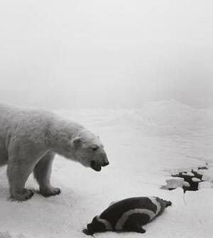 Dioramas by Hiroshi Sugimoto