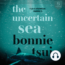The Uncertain Sea by Bonnie Tsui