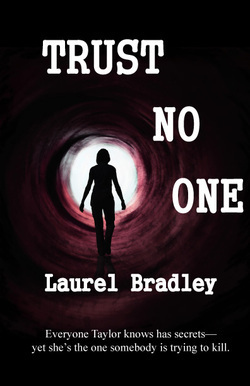 Trust No One by Laurel Bradley