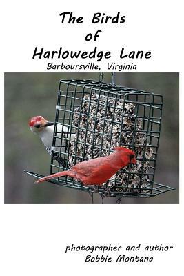 The Birds of Harlowedge Lane: Barboursville, Virginia by Bobbie Montana
