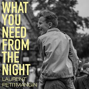 What You Need From The Night by Laurent Petitmangin