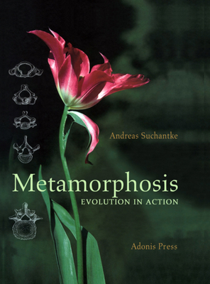 Metamorphosis: Evolution in Action by Norman Skillen, Andreas Suchantke