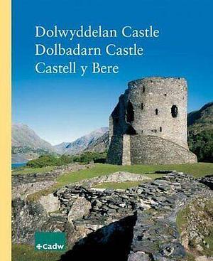 Dolwyddelan Castle, Dolbadarn Castle, Castell Y Bere by Richard Avent