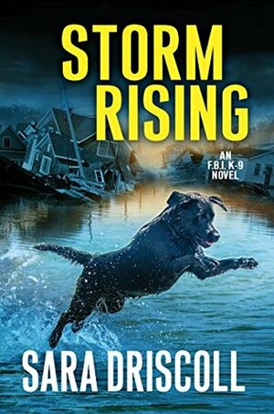 Storm Rising by Sara Driscoll, Jen J. Danna, Ann Vanderlaan
