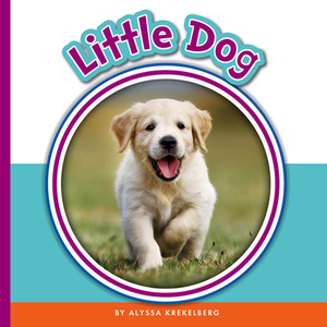 Little Dog by Alyssa Krekelberg