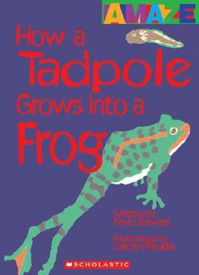 How a Tadpole Grows Into a Frog by David Stewart