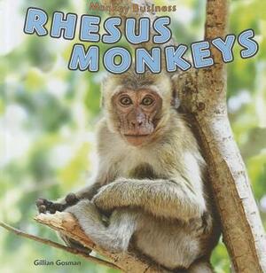 Rhesus Monkeys by Gillian Gosman