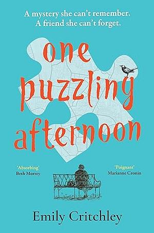 One Puzzling Afternoon by Emily Critchley