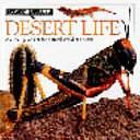 Desert Life by Barbara Taylor