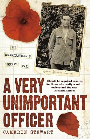 A Very Unimportant Officer: Life And Death On The Somme And At Passchendaele by Cameron Stewart
