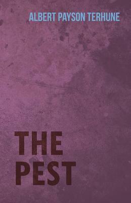 The Pest by Albert Payson Terhune