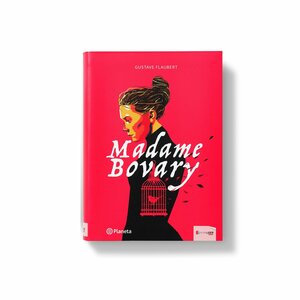 Madame Bovary by Gustave Flaubert