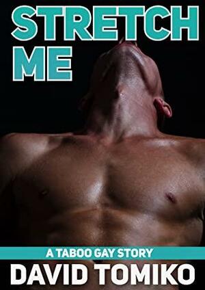 Stretch Me: A Taboo Gay Story by David Tomiko