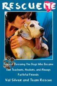 Rescue Me: Tales of Rescuing the Dogs Who Became Our Teachers, Healers, and Always Faithful Friends by Val Silver