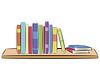 theoverflowingbookshelf's profile picture