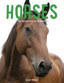 Horses: The Illustrated Guide to Breeds by Chris Mason