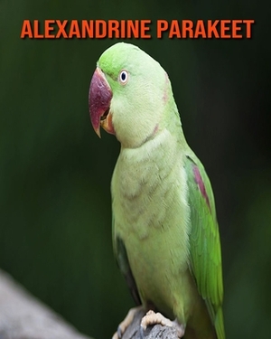 Alexandrine Parakeet: Children Book of Fun Facts & Amazing Photos by Kayla Miller