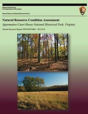 Natural Resource Condition Assessment: Appomattox Court House National Park, Virginia by Aaron F. Teets, Eric D. Wold, Jessica L. Dorr